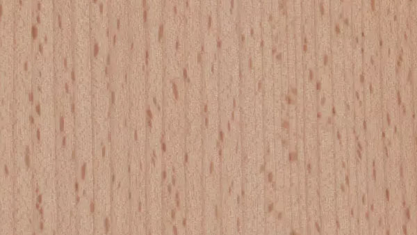 Buche Schweizer Holz